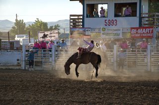 person riding a horse in a rodeo