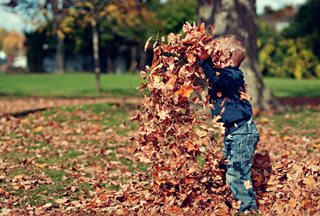 kid throwing leaves into the air