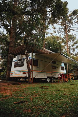 white RV near a tall tree