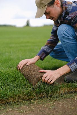 man unrolling grass sod