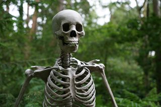 skeleton